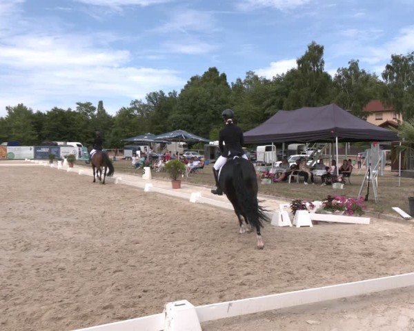 Reitturnier Heiligenwald 2025