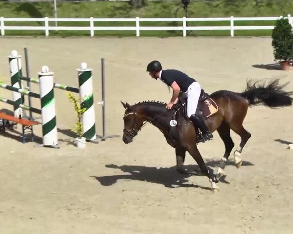 Springturnier Isny 2014