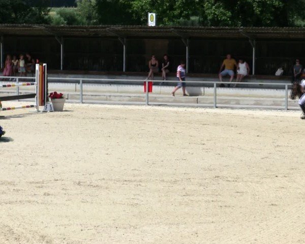 Reitturnier Ingolstadt-Hagau/Obb. 2025