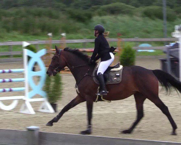 Reitturnier Niebüll 2025