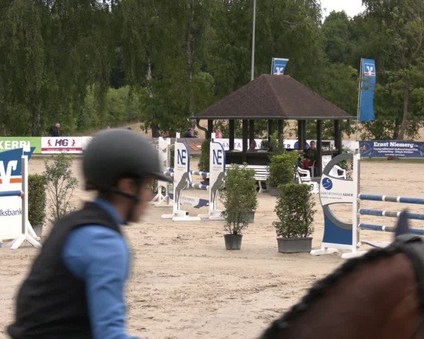 Reitturnier Münster-Roxel 2025