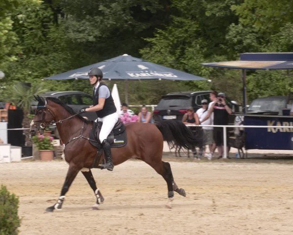 Reitturnier Heiligenwald 2025