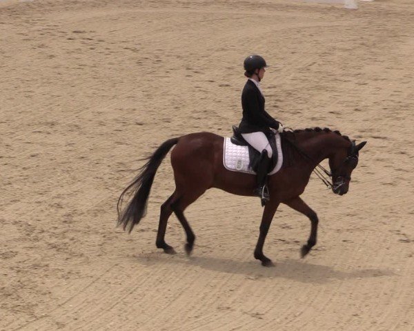 Reitturnier Uder, Reitanlage Kobold 2025