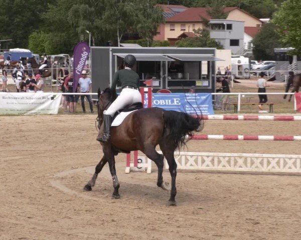 Reitturnier Heiligenwald 2025