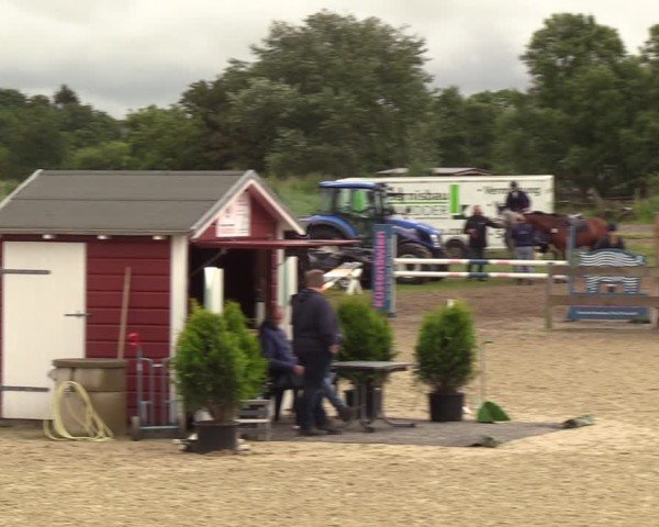Reitturnier Niebüll 2025