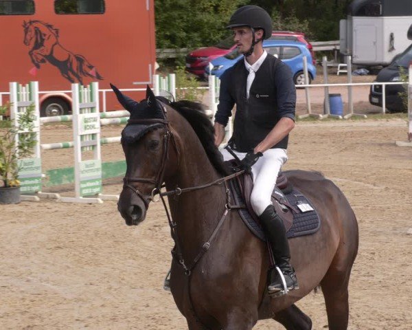 Reitturnier Heiligenwald 2025