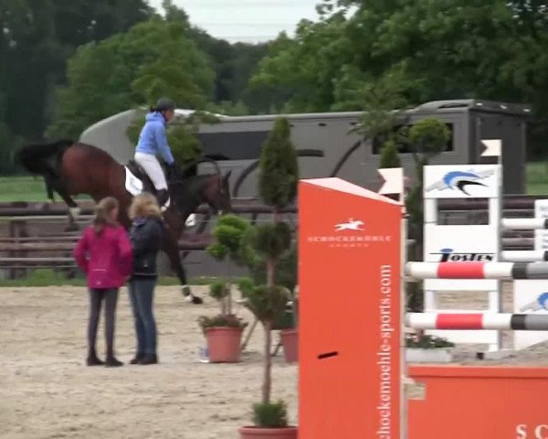 Großes Reit- und Springturnier Kirchhellen/Stall Dieckmann 2014