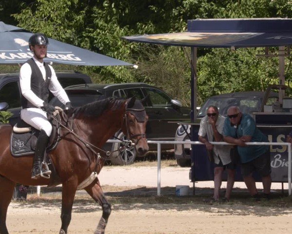 Reitturnier Heiligenwald 2025