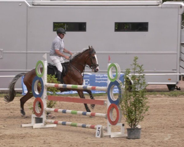 Reitturnier Heiligenwald 2025