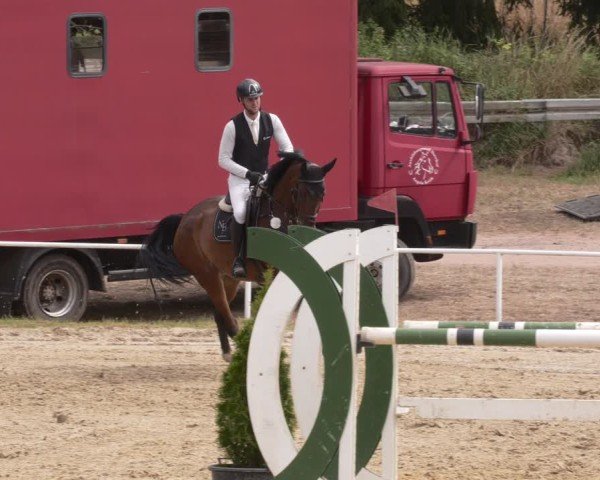 Reitturnier Heiligenwald 2025