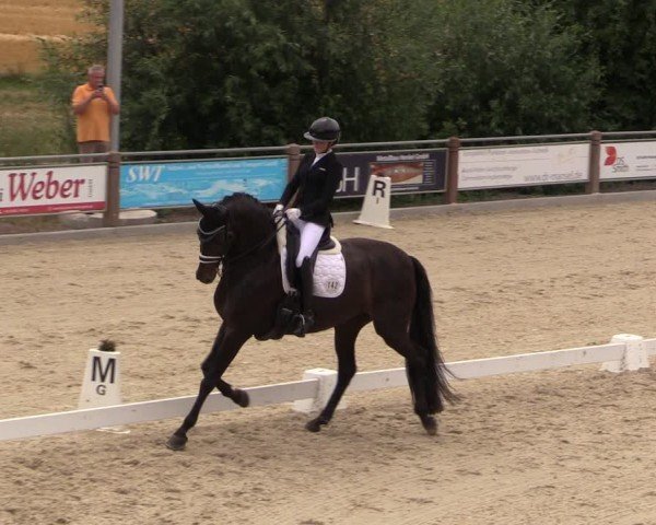 Reitturnier Uder, Reitanlage Kobold 2025