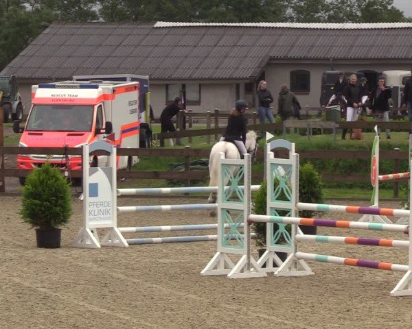 Reitturnier Niebüll 2025