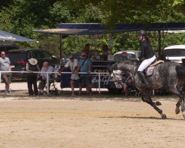 Reitturnier Heiligenwald 2025