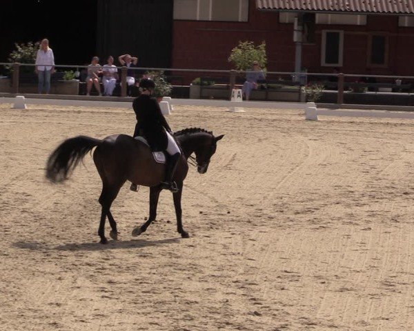 Reitturnier Uder, Reitanlage Kobold 2025