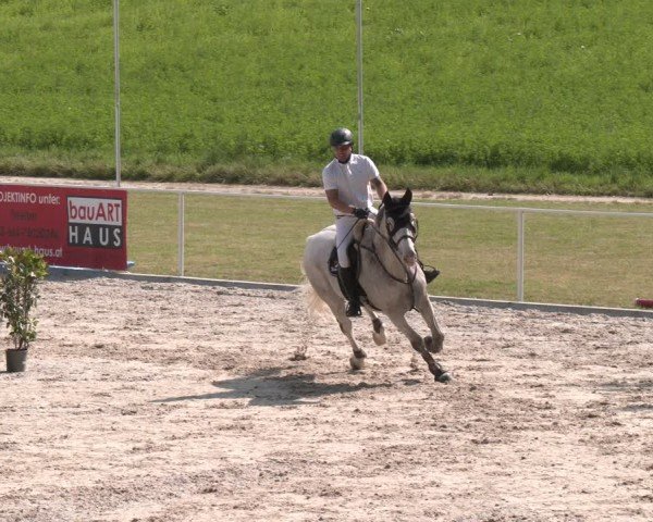 Springturnier Seewalchen 2025