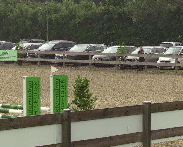 Reitturnier Niebüll 2025