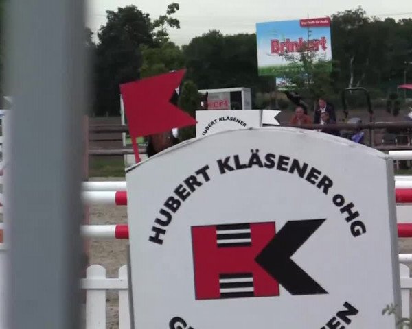 Großes Reit- und Springturnier Kirchhellen/Stall Dieckmann 2014