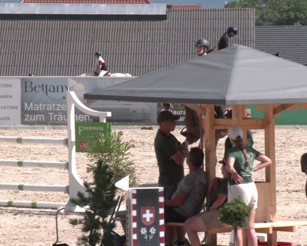 Springturnier Seewalchen 2025