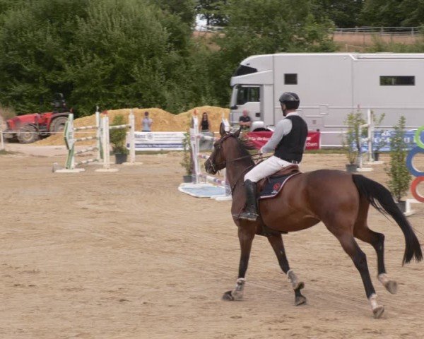 Reitturnier Heiligenwald 2025
