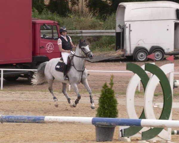 Reitturnier Heiligenwald 2025
