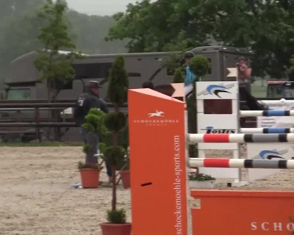 Großes Reit- und Springturnier Kirchhellen/Stall Dieckmann 2014