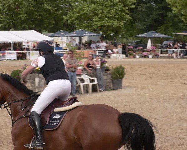 Reitturnier Heiligenwald 2025