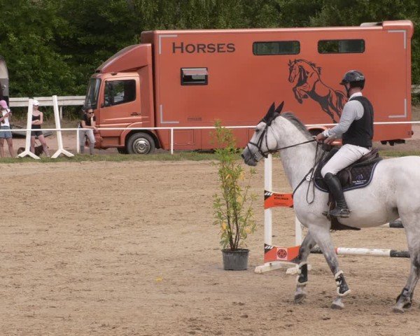 Reitturnier Heiligenwald 2025