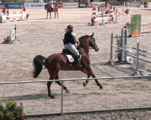 Springturnier Seewalchen 2025