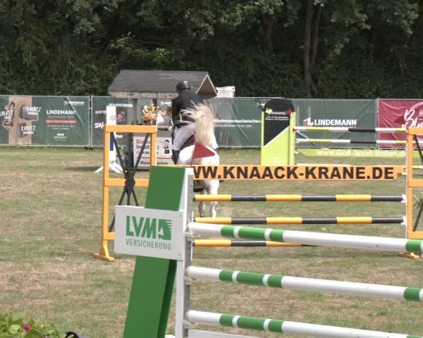 Reitturnier Wohlesbostel 2025