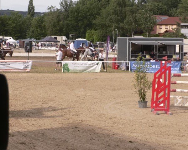 Reitturnier Heiligenwald 2025