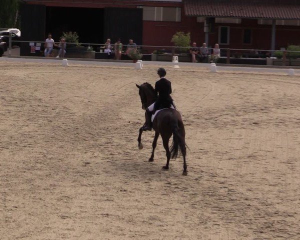 Reitturnier Uder, Reitanlage Kobold 2025
