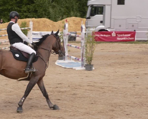 Reitturnier Heiligenwald 2025