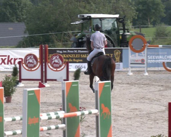 Springturnier Seewalchen 2025