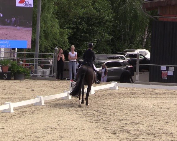 Reitturnier Uder, Reitanlage Kobold 2025