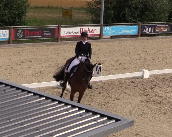 Reitturnier Uder, Reitanlage Kobold 2025