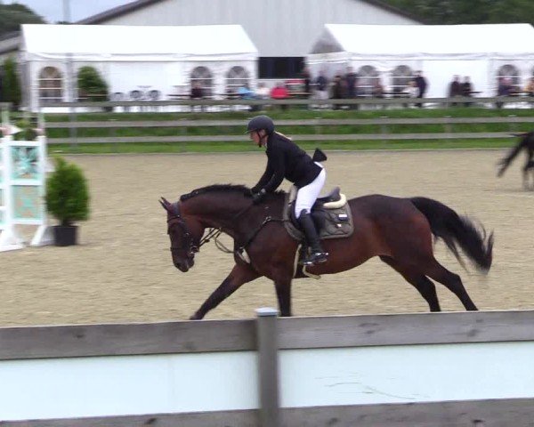 Reitturnier Niebüll 2025