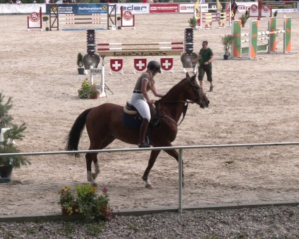 Springturnier Seewalchen 2025