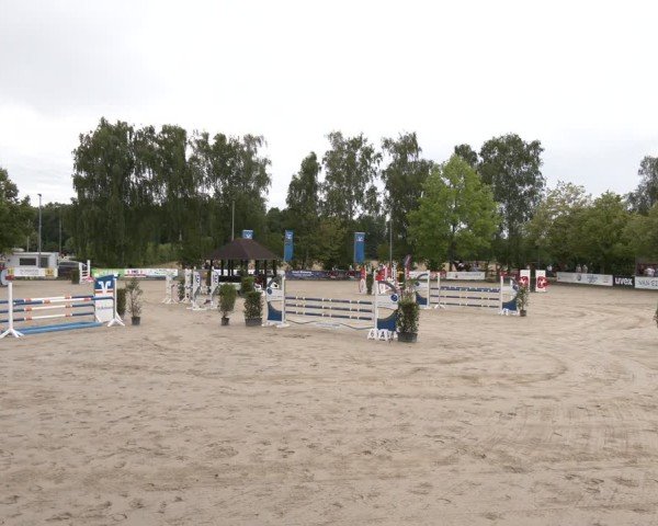 Reitturnier Münster-Roxel 2025