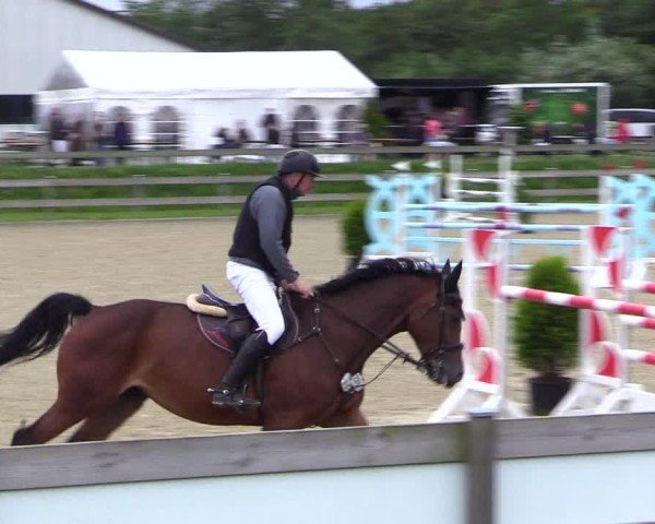 Reitturnier Niebüll 2025