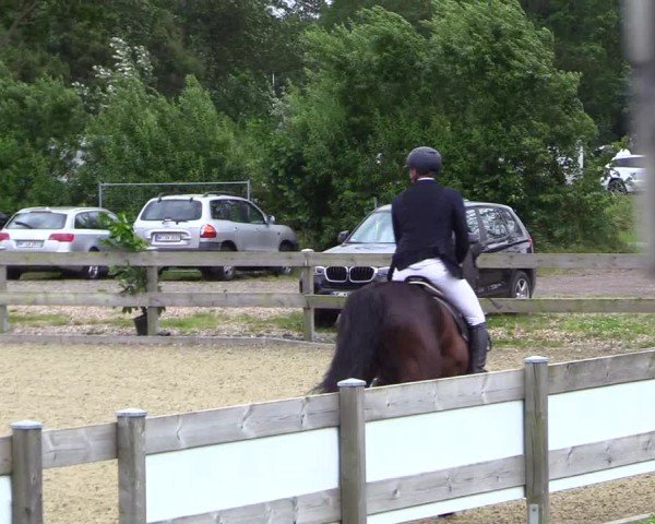 Reitturnier Niebüll 2025