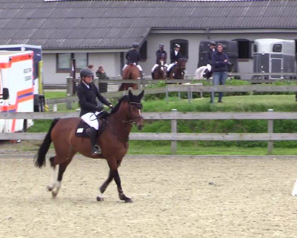 Reitturnier Niebüll 2025