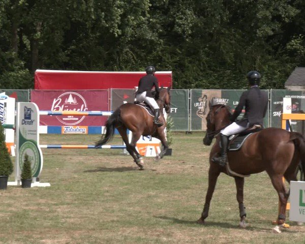 Reitturnier Wohlesbostel 2025