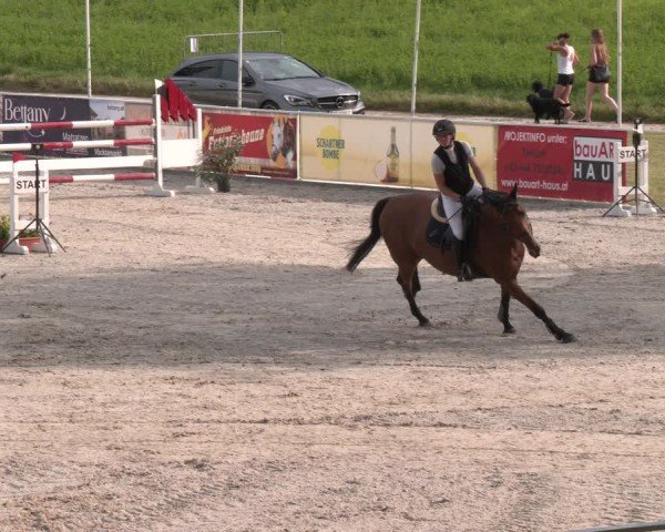 Springturnier Seewalchen 2025