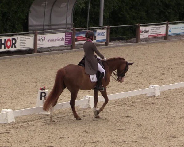 Reitturnier Uder, Reitanlage Kobold 2025