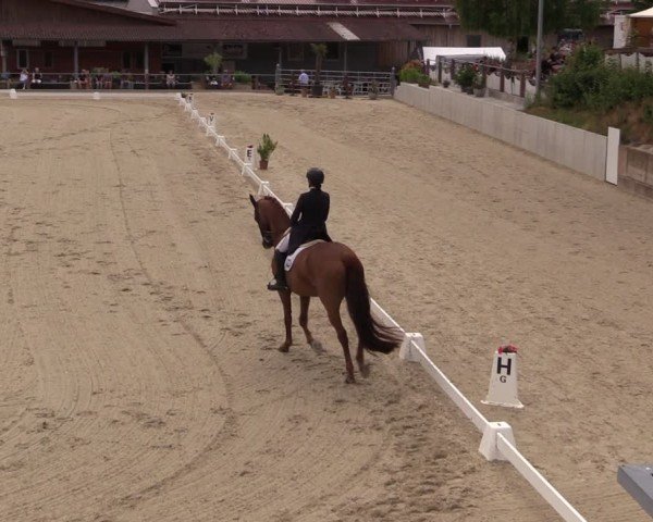 Reitturnier Uder, Reitanlage Kobold 2025