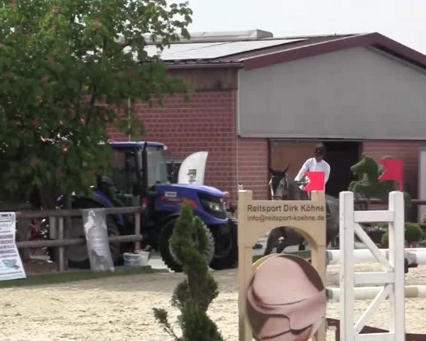 Großes Reit- und Springturnier Kirchhellen/Stall Dieckmann 2014
