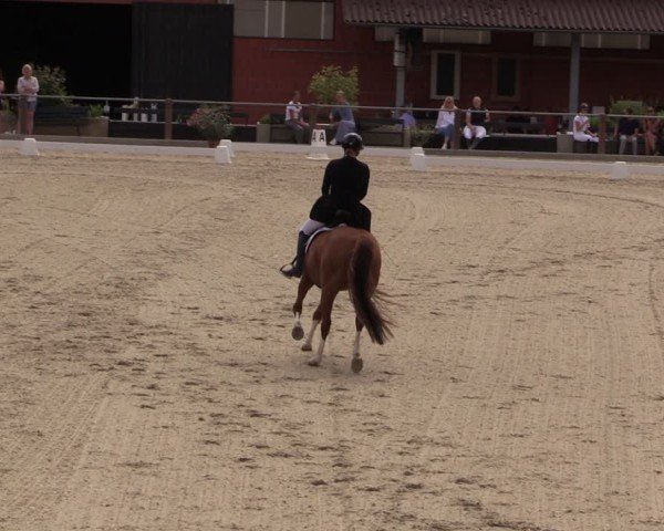 Reitturnier Uder, Reitanlage Kobold 2025