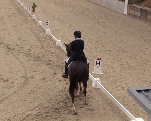 Reitturnier Uder, Reitanlage Kobold 2025