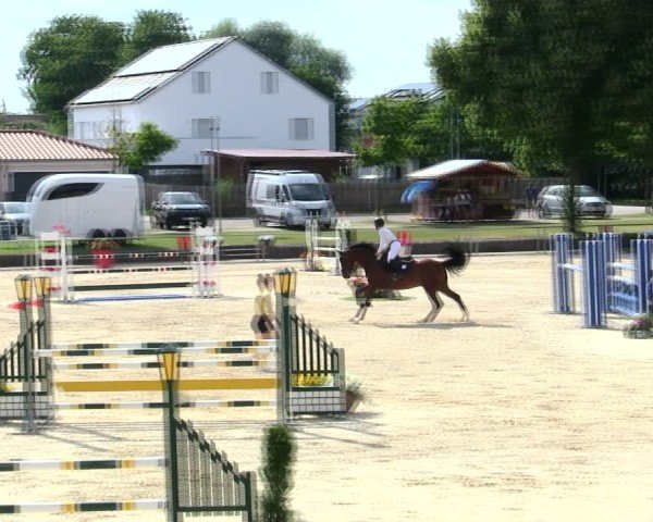 Reitturnier Ingolstadt-Hagau/Obb. 2025