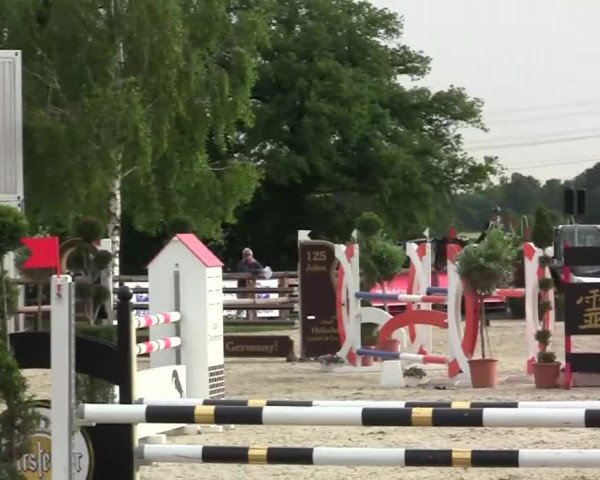 Großes Reit- und Springturnier Kirchhellen/Stall Dieckmann 2014